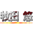 牧田 悠 (薬剤師)