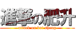 進撃の肥升 (attack on bui sheng)