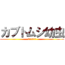 カブトムシ幼虫 (2匹100円)