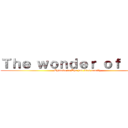 Ｔｈｅ ｗｏｎｄｅｒ ｏｆ ｙｏｕ (Episode 1: The jail bird family)