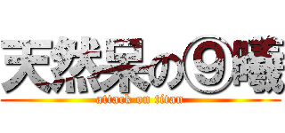 天然呆の⑨曦 (attack on titan)