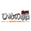 ひめの昴 (YouTuber)