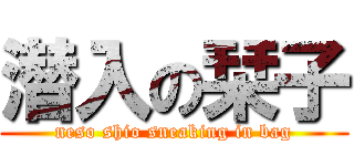 潜入の栞子 (neso shio sneaking in bag)