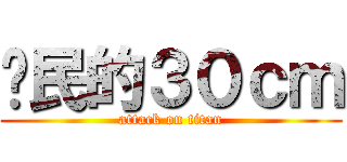 鄉民的３０ｃｍ (attack on titan)