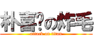 朴喜庆の炸毛 (attack on titan)