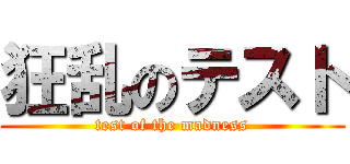 狂乱のテスト (test of the madness)
