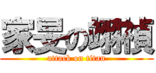 家旻の翊禎 (attack on titan)