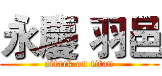 永慶 羽邑 (attack on titan)