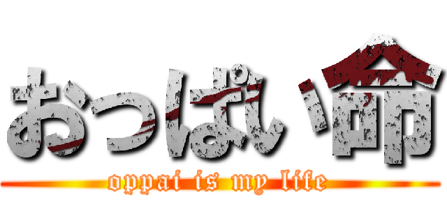 おっぱい命 (oppai is my life)