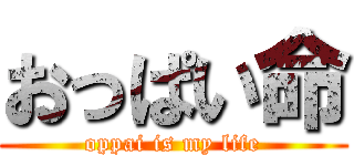 おっぱい命 (oppai is my life)