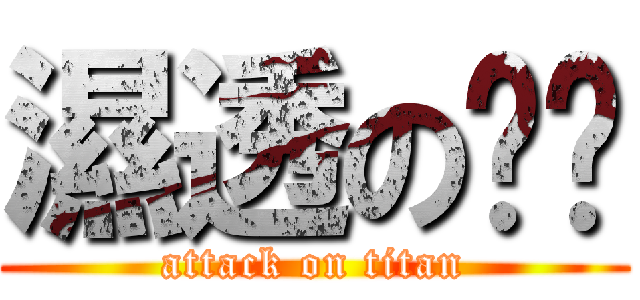 濕透の內褲 (attack on titan)