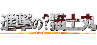 進撃の麵猫土丸 (attack on titan)