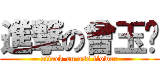進撃の曾玉嬿 (attack on ass flower)