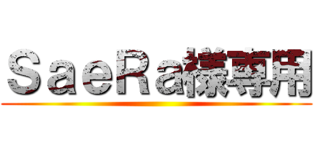 ＳａｅＲａ様専用 ()
