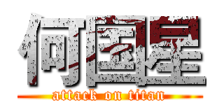 何国星 (attack on titan)