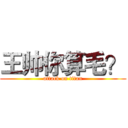 王帅你算毛？ (attack on titan)