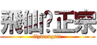飛仙·正宗 (flywangsir)