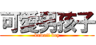 可愛男孩子 (kawaii boy)