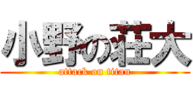 小野の荘大 (attack on titan)