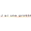 Ｊ ａｉ ｕｎｅ ｇｒｏｓｓｅ ｂｉｔｅ  (Pas comme mikkel )