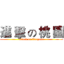 進 擊 の 桃 園 (attack on Taoyuan)