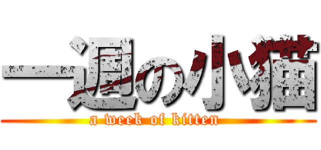 一週の小猫 (a week of kitten )