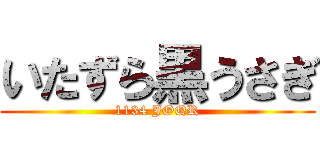 いたずら黒うさぎ (1134 JOQR)