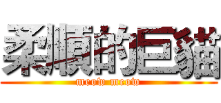 柔順的巨貓 (meow meow)