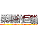 柔順的巨貓 (meow meow)