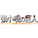 张小哎の巨人 (attack on titan)