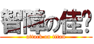 智障の佳妮 (attack on titan)