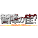 智障の佳妮 (attack on titan)