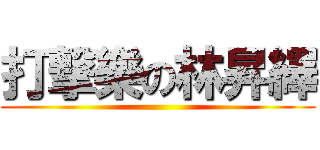 打撃樂の林昇繹 ()