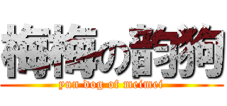 梅梅の韵狗 (yun dog of meimei)