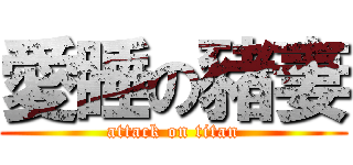 愛睡の豬妻 (attack on titan)