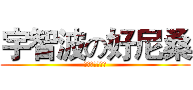 宇智波の好尼桑 (うちはの兄さん)