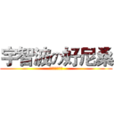 宇智波の好尼桑 (うちはの兄さん)