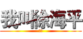 我叫徐海平 (王者)