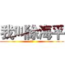我叫徐海平 (王者)