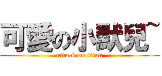 可愛の小默兒~ (attack on titan)