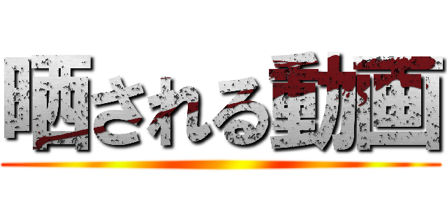 晒される動画 ()