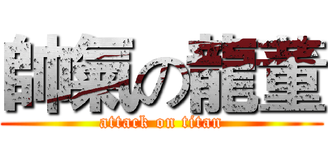帥氣の龍董 (attack on titan)