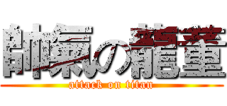帥氣の龍董 (attack on titan)