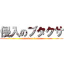 侵入のブタクサ (attack on beetle)