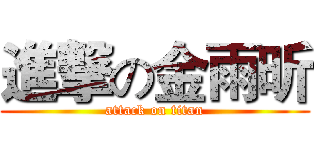 進撃の金雨昕 (attack on titan)