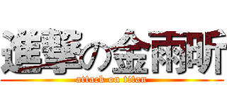 進撃の金雨昕 (attack on titan)