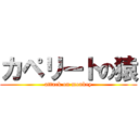 カペリートの猿 (attack on monkey)