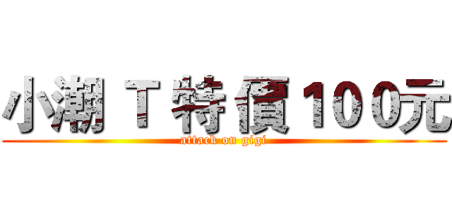 小潮 Ｔ 特 價１００元 (attack on gigi)