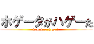 ホゲータがハゲーた (hoge-ta or hage-ta)