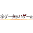 ホゲータがハゲーた (hoge-ta or hage-ta)